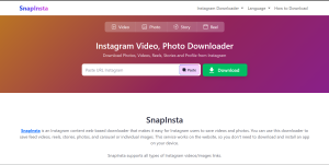 SnapInsta: Cara Download Postingan IG Tanpa Akun