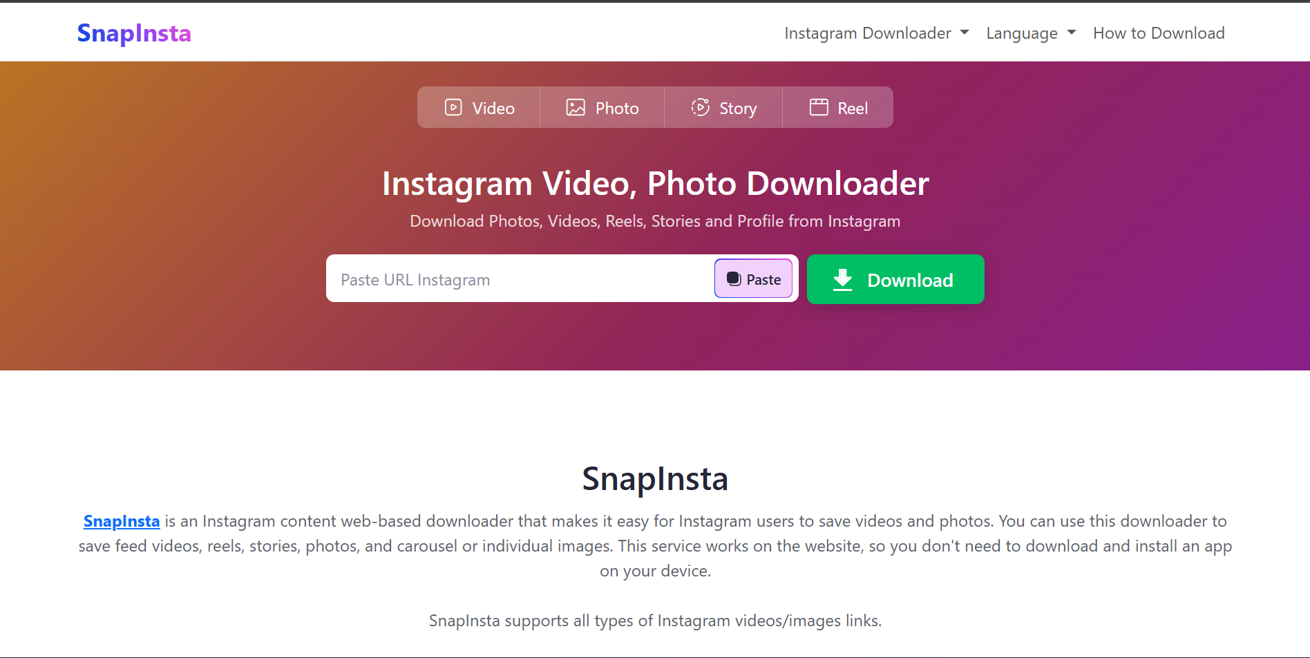 SnapInsta: Cara Download Postingan IG Tanpa Akun